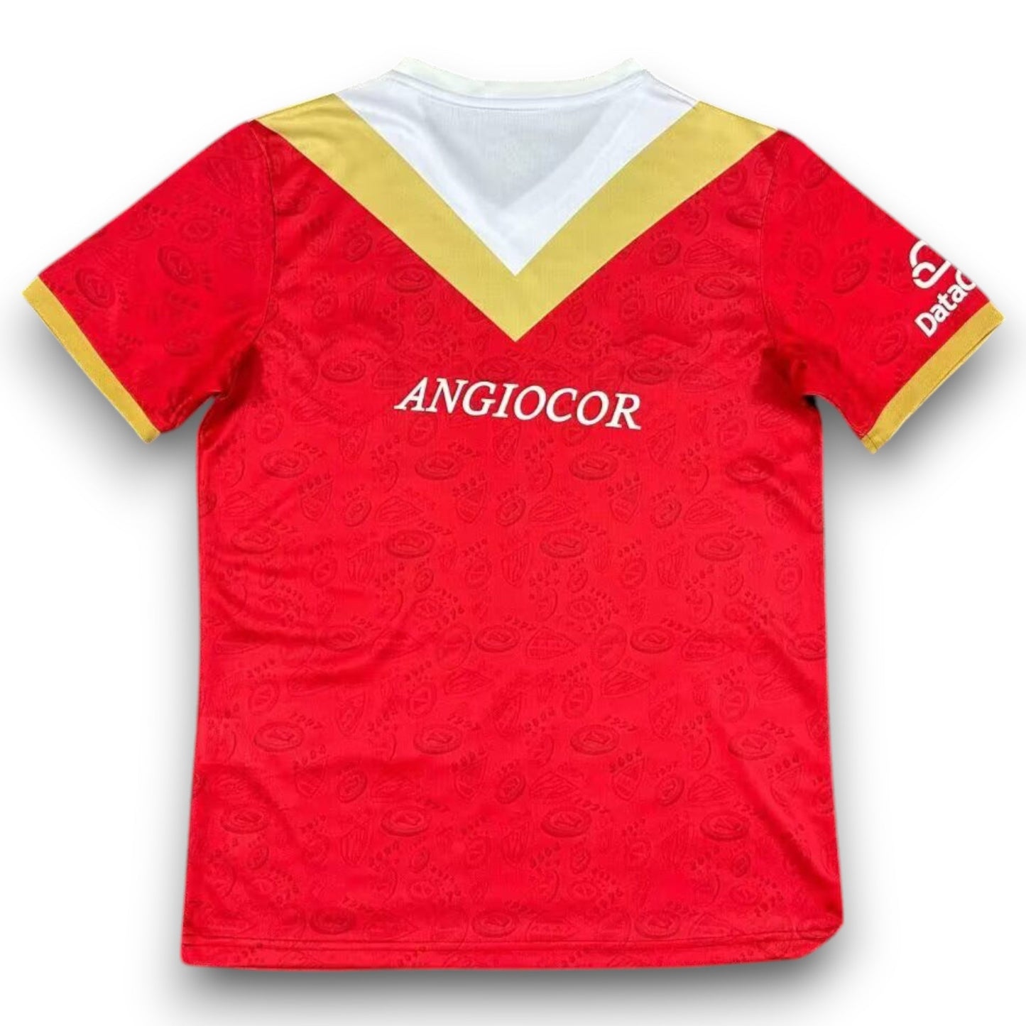 Camiseta Argentinos Juniors 2025 Alternativa