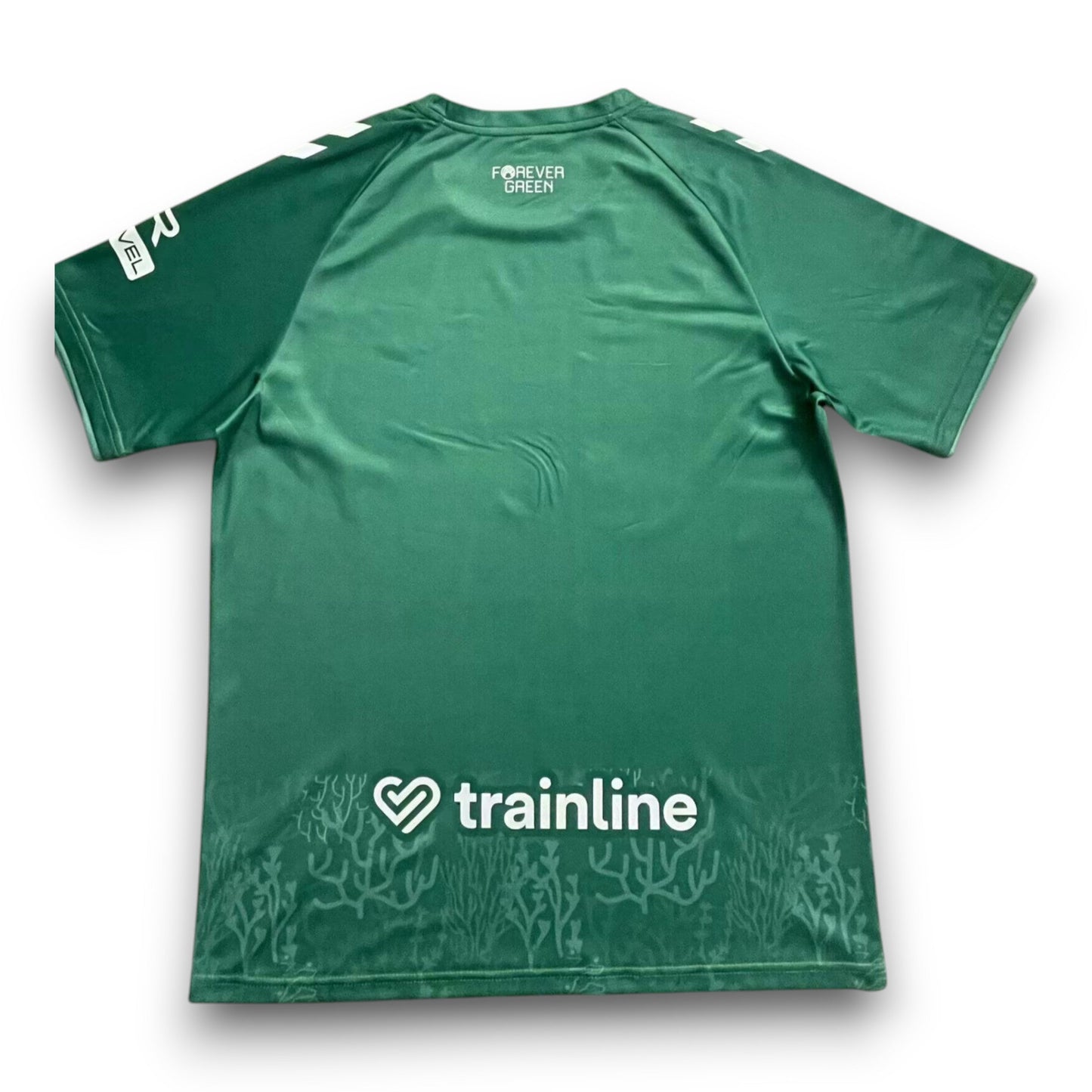 Maillot Real Betis 2024-2025 Quatrième