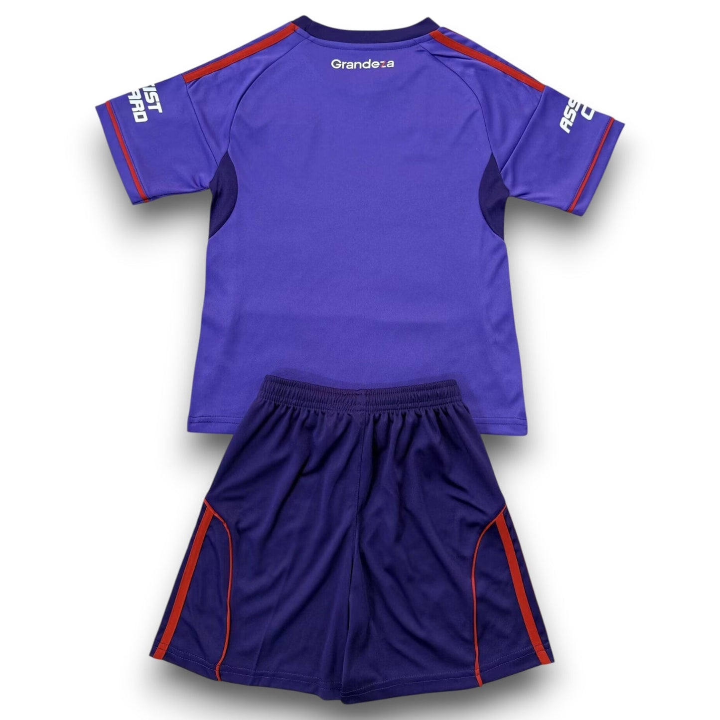 Camiseta River Plate 2025-2026 Alternativa