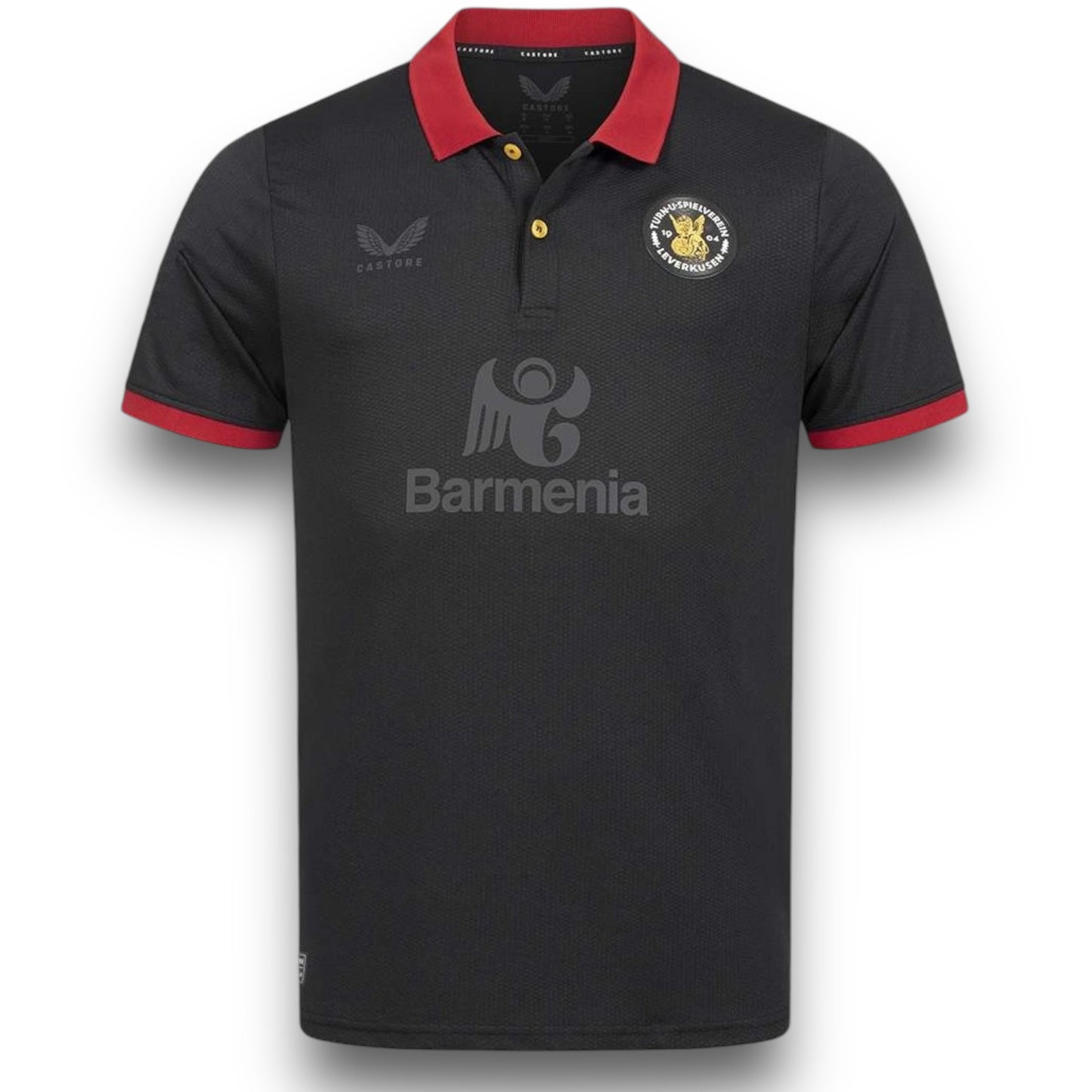 Camiseta Bayern Leverkusen 2024-2025 Aniversario