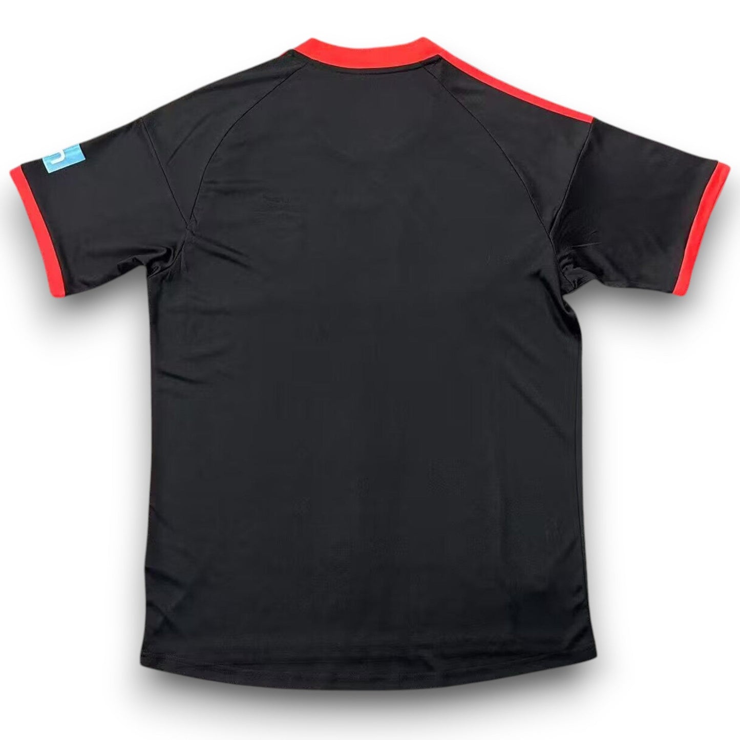 Benfica Away Jersey 2009-2010