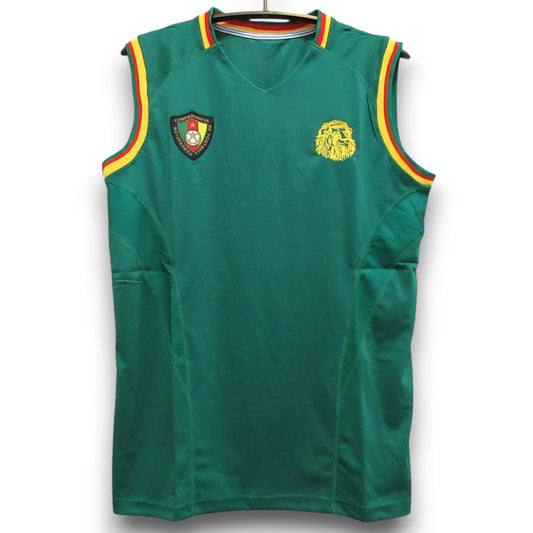 Maillot Cameroun 2002 Domicile