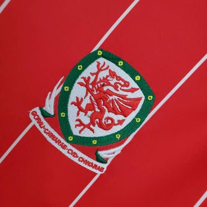 Wales 2016 Home Jersey