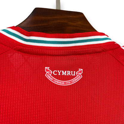 Camiseta Gales 2026 Local