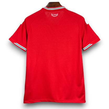 Camiseta Gales 2026 Local