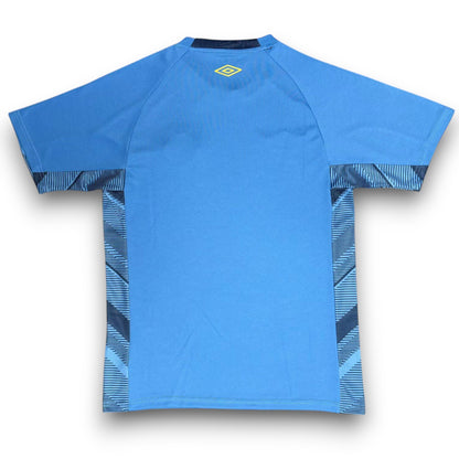 Maillot Gremio 2025-2026 Gardien Domicile