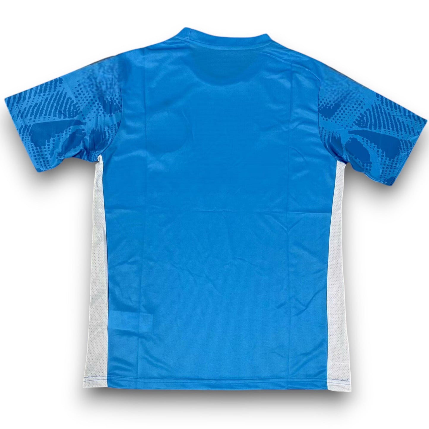 Camiseta Palmeiras 2025-2026 Portero - Local