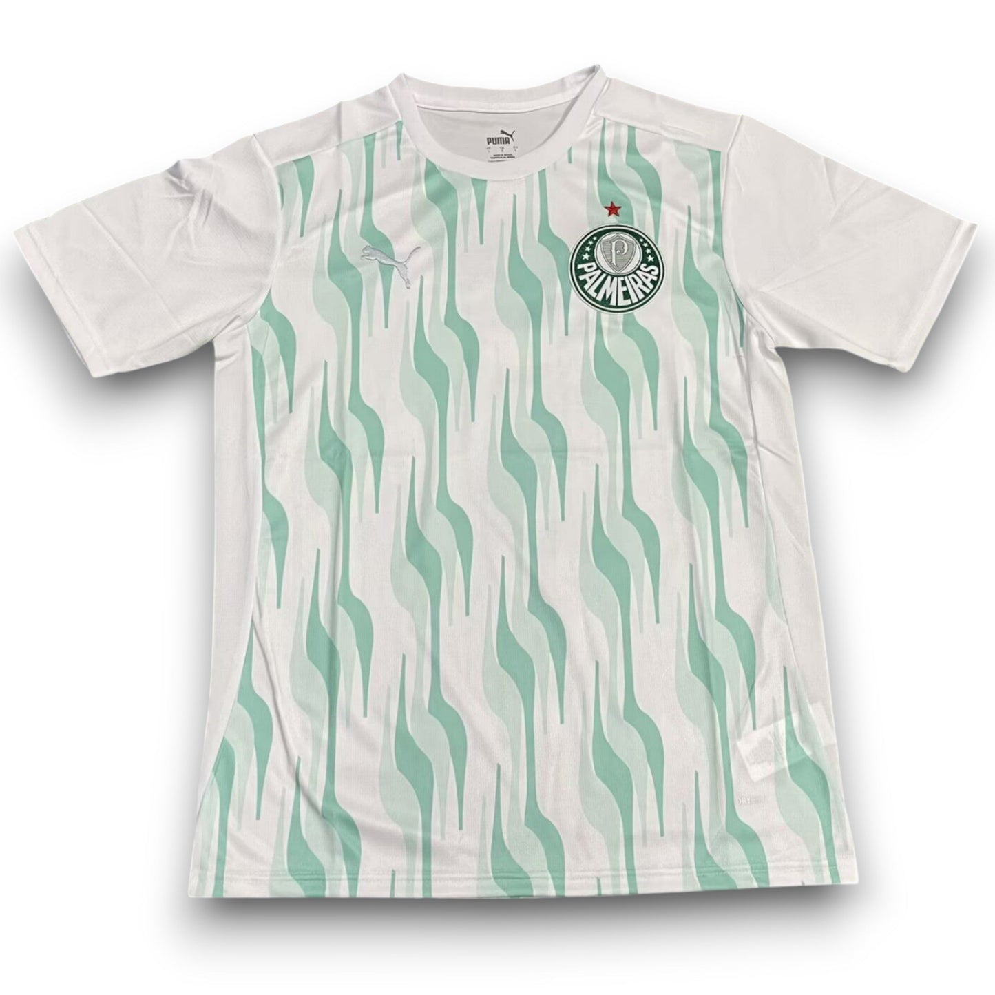 Maillot Palmeiras 2025 Entraînement