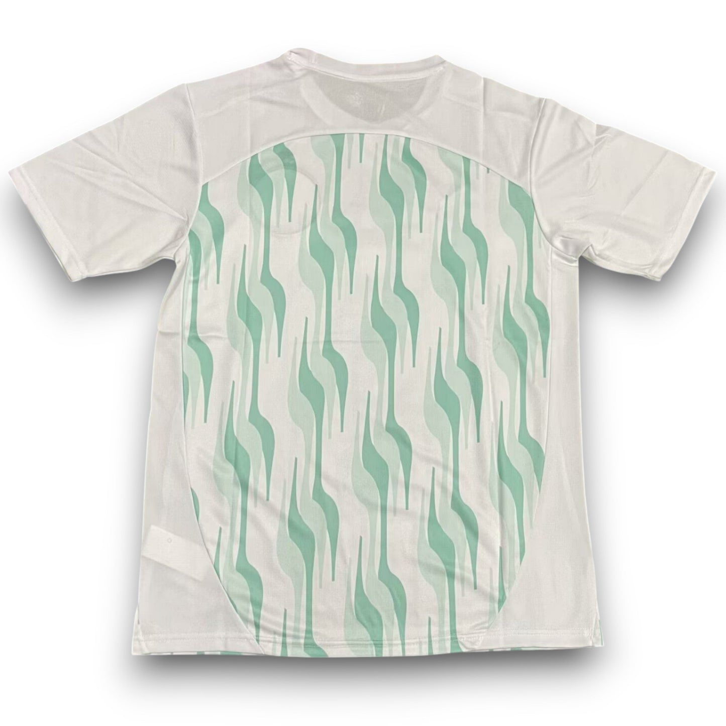 Maillot Palmeiras 2025 Entraînement