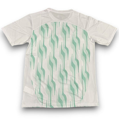 Maillot Palmeiras 2025 Entraînement