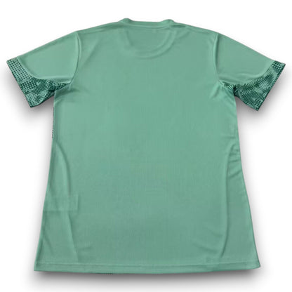 Camiseta Palmeiras 2026-2027 Entrenamiento